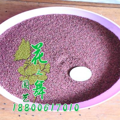 種子系列 廠家直銷 批發(fā)蛇莓種子 當年采 量大優(yōu)惠 發(fā)芽率高 蛇莓種子價格圖片|種子系列 廠家直銷 批發(fā)蛇莓種子 當年采 量大優(yōu)惠 發(fā)芽率高 蛇莓種子價格產(chǎn)品圖片由沭陽縣花之舞綠化苗木場公司生產(chǎn)提供-